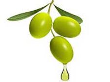 ಸೌಂದರ್ಯ ಮತ್ತು ಆರೋಗ್ಯಕ್ಕೆ ಕೀಲಿಕೈ ಆಲೀವ್