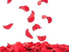 ಶೂನ್ಯತೆ, ನಿರ್ಥಕತೆ, ಖಾಲಿತನದ ನಿಜವಾದ ಅರ್ಥ