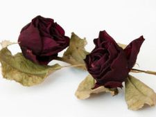 ಮಾಡಿದ್ದೆಲ್ಲ ಸರಿ, ಆದರೂ ಏನೋ ಕೊರತೆಯಿದೆ!