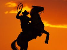 ಕುದುರೆ ಓಡಿಹೋದರೇನು, ಮಗನ ಕಾಲು ಮುರಿದರೇನು