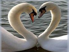 ನಿಮ್ಮ ಜೋಡಿಯನ್ನು ಸೋಲ್ ಮೇಟ್ ಅನ್ನಬಹುದಾ?