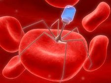 ನಿತ್ಯಾನಂದ ಸ್ವಾಮಿ ಹೇಳಿದ ಹರ್ಪೀಸ್ ಮಾರಣಾಂತಿಕವೇ? 