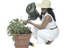 ನೀರನ್ನು ಹಾಳು ಮಾಡಲು ನಿನಗೇನು ಹಕ್ಕಿದೆ?