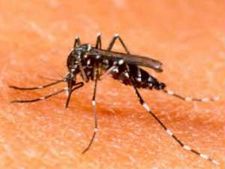 ಸೊಳ್ಳೆಯ ಸಾಮರ್ಥ್ಯವನ್ನು ನಿರ್ಲಕ್ಷಿಸಿದರೆ ಜೋಕೆ! 