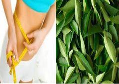  ಈ ವಿಧಾನ ಪಾಲಿಸಿ, ಖಂಡಿತ ತೆಳ್ಳಗಾಗುವಿರಿ