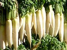 ಮೂಲಂಗಿಯಲ್ಲಿದೆ ಪ್ರಮುಖ ಆರೋಗ್ಯಕರ ಗುಣಗಳು