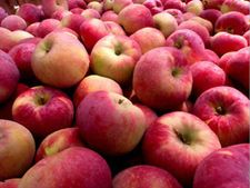 ಲಿವರ್‌ನ ಆರೋಗ್ಯ ಕಾಪಾಡಲು 7 ಆಹಾರಗಳು 