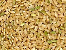 ಸೊಂಪಾದ ಕೇಶರಾಶಿಗೆ 8 ಫುಡ್ ಟಾನಿಕ್