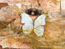 ಗೋಡೆಗೆ ಚಿತ್ರ ತೂಗುಹಾಕುವ ಸುಲಭವಾದ ಹಂತಗಳು