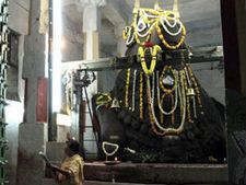 ಬೆಂಗಳೂರು ಬಸವನಗುಡಿಯಲ್ಲಿ ಸ್ಪೆಷಲ್ ಸಂಕ್ರಾಂತಿ