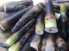 ಕಣಲೆ ಪಲ್ಯದ ರುಚಿ ನೋಡಲು ಮಿಸ್ ಮಾಡ್ಕೋಬೇಡಿ