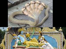 ಹಬ್ಬಗಳಿಗೆ ಮುನ್ನುಡಿಯಾಗಿ ಬರುತ್ತಿರುವ ನಾಗರಪಂಚಮಿ