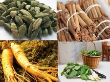 ತೂಕ ಇಳಿಕೆಯಲ್ಲಿ ಸಹಾಯ ಮಾಡುವ ಹರ್ಬ್ಸ್