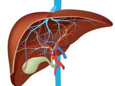 ಲಿವರ್ ನ ಆರೋಗ್ಯಕ್ಕಾಗಿ ಸೂಪರ್ ಟಿಪ್ಸ್