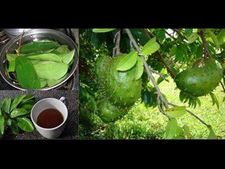 ಕ್ಯಾನ್ಸರ್, ಮಧುಮೇಹ ರೋಗಗಳಿಗೆ ಇನ್ನು ಗುಡ್ ಬೈ ಹೇಳಿ! 