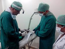 ಬೊಕ್ಕ ತಲೆಯಿಂದ ಪಾರಾಗಲು ಕೂದಲು ಕಸಿ