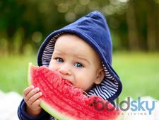 ಚಿಕನ್ ಫಾಕ್ಸ್‌ಗೆ ಕಲ್ಲಂಗಡಿ ಹಣ್ಣು ಉತ್ತಮವೇ?