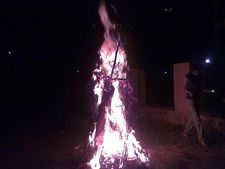 ಹೋಳಿಯ ಆಚರಣೆ ಮತ್ತು ಸಂಪ್ರದಾಯ ಏಕೆ ಮಹತ್ವಪೂರ್ಣ