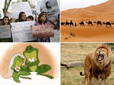 ಕುತೂಹಲ ಹುಟ್ಟಿಸುವ ಕೆಲವೊಂದು ಅಚ್ಚರಿಯ ಸಂಗತಿಗಳು 