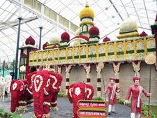 ಲಾಲ್‌ಬಾಗ್ ಪುಷ್ಪಪ್ರದರ್ಶನದಲ್ಲಿ ಮನಸೆಳೆದ ತರೇಹವಾರಿ ಹೂವುಗಳು