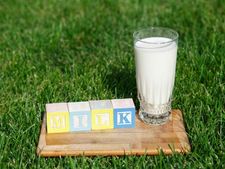 ಹಸು ಹಾಲಿಗಿಂತ ಆಡಿನ ಹಾಲು ಪರಿಪೂರ್ಣ ಏಕೆ?