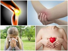 ವೈದ್ಯಲೋಕವನ್ನೇ ತಲ್ಲಣಗೊಳಿಸಿದ ಆಲಿವ್ ಎಲೆಗಳ ವೈಶಿಷ್ಟ್ಯವೇನು?