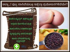 ಅಬ್ಬಾ..! ಪುಟ್ಟ ಸಾಸಿವೆಯಲ್ಲೂ ಇಷ್ಟೆಲ್ಲಾ ಪ್ರಯೋಜನಗಳಿವೆಯೇ? 