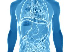 ಔಷಧೀಯ ಗುಣಗಳ ಆಗರ ಆಯುರ್ವೇದೀಯ ಶೈಲಿಯ ಆಹಾರ!