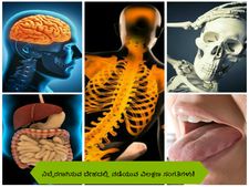 ನಿಬ್ಬೆರಗಾಗಿಸುವ ದೇಹದಲ್ಲಿ ನಡೆಯುವ ವಿಲಕ್ಷಣ ಸಂಗತಿಗಳು! 