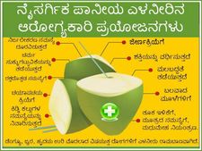 ನೈಸರ್ಗಿಕ ಪಾನೀಯ ಎಳನೀರು: ಸರ್ವರೋಗಕ್ಕೂ ಇದು ಪನ್ನೀರು..!