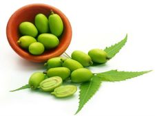 ಆಶ್ಚರ್ಯ:ವೈದ್ಯ ಲೋಕವನ್ನೇ ತಲ್ಲಣಗೊಳಿಸಿದ ಬೇವಿನ ಬೀಜ! 