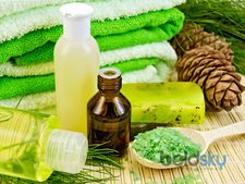 ಇನ್ನು ಮಾರುಕಟ್ಟೆಯ ದುಬಾರಿ ಬೆಲೆಯ ಶಾಂಪೂಗೆ ಗುಡ್ ಬೈ ಹೇಳಿ..! 