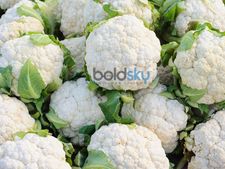 ಸಮೃದ್ಧ ಪೋಷಕಾಂಶಗಳ ಆಗರ ಹೂಕೋಸು  