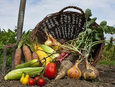 ಹಿತ್ತಲ ಗಿಡದ ತರಕಾರಿ- ಆರೋಗ್ಯಕರ ಜೀವನಶೈಲಿಗೆ ರಹದಾರಿ