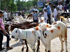 ತ್ಯಾಗ ಬಲಿದಾನದ ಪ್ರತೀಕವಾದ 'ಬಕ್ರೀದ್ ಹಬ್ಬದ' ವಿಶೇಷತೆ