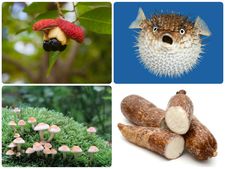 ಅಚ್ಚರಿ, ಆದರೂ ಸತ್ಯ-ಈ ಆಹಾರಗಳು ವಿಷದಷ್ಟೇ ಅಪಾಯಕಾರಿ! 