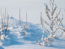 ಚುಮುಚುಮು ಚಳಿ ಮತ್ತು ಆರೋಗ್ಯದ ಆರೈಕೆ 