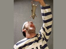 ಮೈಯಲ್ಲಿ ನಡುಕ ಹುಟ್ಟಿಸುವ ವಿಲಕ್ಷಣ ಆಹಾರ ಪದ್ಧತಿ