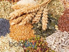 ಸಸ್ಯಾಹಾರಿಗಳಿಗೂ ಸಹ ಪ್ರೋಟೀನ್‌ಯುಕ್ತ ಆಹಾರಗಳಿವೆ...