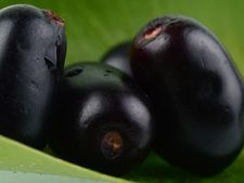 ಗ್ರಾಮೀಣ ಭಾಗದ 'ನೀಲಿ' ಸುಂದರಿ 'ನೇರಳೆ ಹಣ್ಣಿನ' ಪ್ರಯೋಜನಗಳು