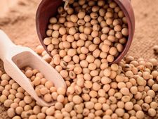 ಸೋಯಾಬೀನ್‌‌ನಲ್ಲಿ ಅಡಗಿದೆ ಬ್ಯೂಟಿ ಸೀಕ್ರೆಟ್
