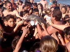 ಸೆಲ್ಫಿ ಹುಚ್ಚಿಗೆ ಬಲಿಯಾದ ಪ್ರಾಣಿಗಳು, ಅಮೂಲ್ಯ ಸ್ಮಾರಕಗಳು! 