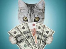 ಗಿನ್ನೆಸ್ ದಾಖಲೆ ಮಾಡಿದ ತಮಾಷೆಯ ಸಂಗತಿಗಳು! 