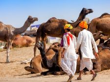 ಶತಾಯುಷಿ ಅಜ್ಜ ಅಜ್ಜಿಯರ ದೀರ್ಘಾಯುಷ್ಯದ ಗುಟ್ಟೇನು? 