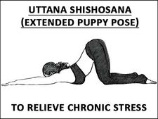 ಒತ್ತಡಕ್ಕೆ ಕಡಿವಾಣ ಹಾಕಲು 'ಉತ್ಥಾನ ಶಿಶೋ ಆಸನ' ಅನುಸರಿಸಿ 