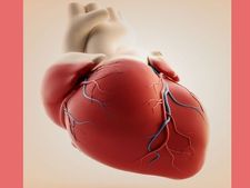 World Heart Day 2022: ಹೃದಯದ ಆರೋಗ್ಯಕ್ಕಾಗಿ ಈ ಆಹಾರಗಳನ್ನು ತ್ಯಜಿಸಿ 