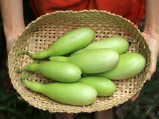 ಆರೋಗ್ಯಕ್ಕೆ ಆಸರೆಯಾಗೋ ತರಕಾರಿ-ಸೋರೆಕಾಯಿ