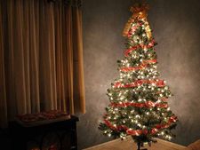 ಆಶ್ಚರ್ಯಗೊಳಿಸುವ 'ಕ್ರಿಸ್‌ಮಸ್‌ ಹಬ್ಬದ' ಇಂಟರೆಸ್ಟಿಂಗ್ ಸಂಗತಿಗಳು