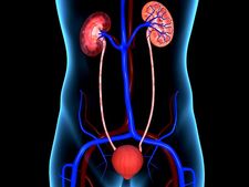 ಮನೆ ಔಷಧ: ಕಿಡ್ನಿ ಕಲ್ಲಿನ ಸಮಸ್ಯೆಗೆ ಶಾಶ್ವತ ಪರಿಹಾರ  