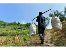 ಈತನಿಗೆ ಎರಡೂ ಕೈಗಳಿಲ್ಲ, ಆದರೆ ತಾಯಿಯನ್ನು ಮಗುವಿನಂತೆ ಸಾಕುತ್ತಿದ್ದಾನೆ!